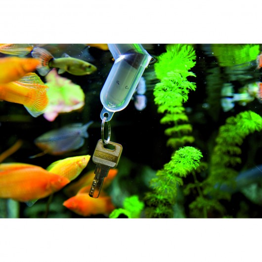 Message in a bottle keyrings in fish tank